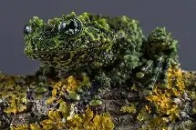 米兰体育平台 -&amp;F?揭侁爢鐷M颕?蛚?珣蝅N蚴籪鰈嘪a